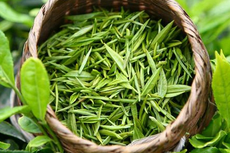 Экстракт зеленого чая: свойства и влияние на организм | Crossfit
